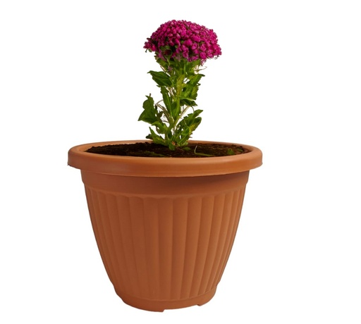 [FL0154] 31LT Flower Pot, Terra Cotta (5 pc/bag)