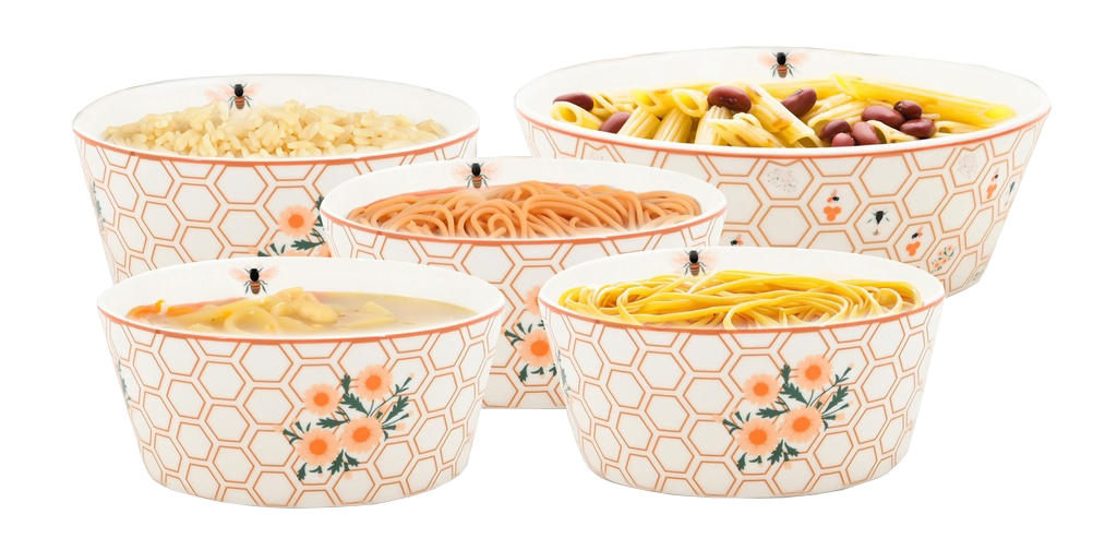 [6962] 5 pc set new Bone China Pasta Bowels/Mixing Bowl (2 set/ctn