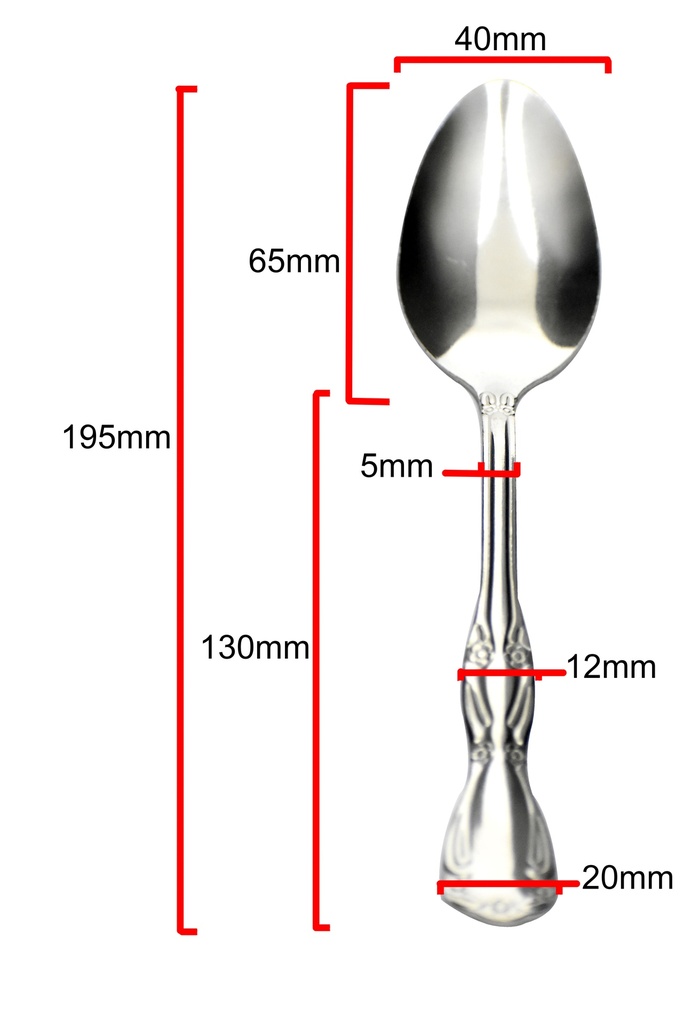 12 pc Stainless Steel Dinner Spoons (50 bag/ctn)
