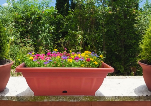 [FL4020] 8.4 Quart Plastic Planter Flower Pot (24 pcs/ctn)
