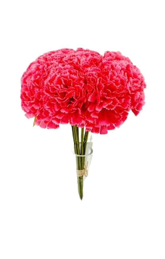 9 pc Carnation Bouquet Set, Dark Pink  (24 set/ctn)