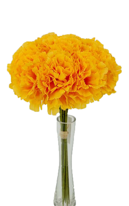9 pc Carnation Bouquet Set, Orange (24 set/ctn)