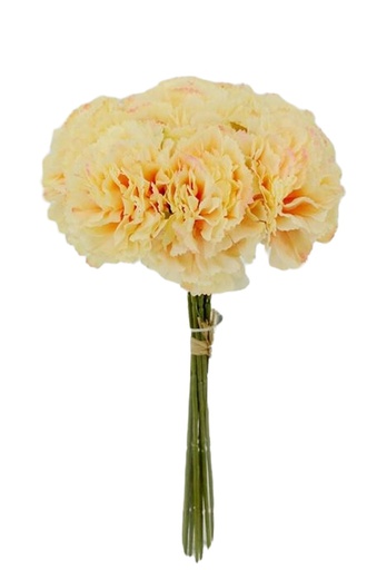 [FL7000-BG] 9 pc Carnation Bouquet Set,  Beige (24 set/ctn)