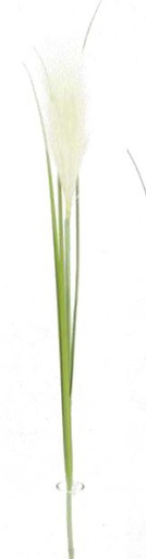 [FL8105-CR] Pampas Flower w. 3 leaves, 20cm/76cm  (96 pc/ctn)