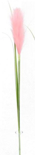 [FL8105-PK] Pampas Flower w. 3 leaves, 20cm/76cm (96 pc/ctn)