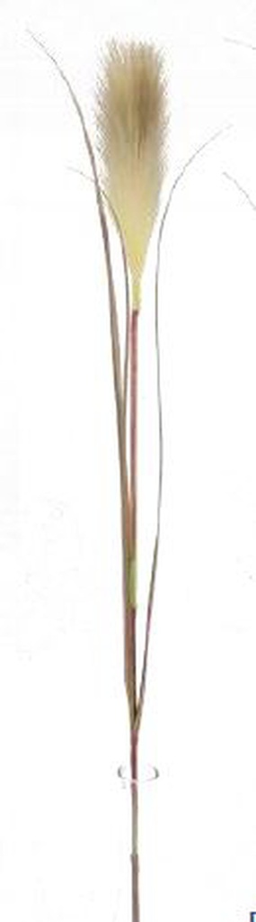 Pampas Flower w. 3 leaves, 20cm/76cm (96 pc/ctn)