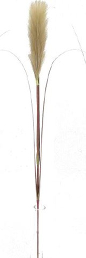 [FL8105-LB] Pampas Flower w. 3 leaves, 20cm/76cm (96 pc/ctn)
