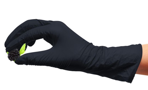 [C2050L] Nitrile Disposable Gloves, Powder Free, 100pc, Light Black, Large (10 pc/ctn)