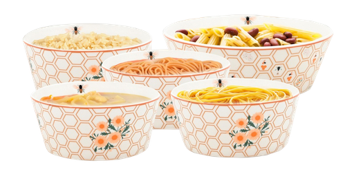 [6962] 5 pc set new Bone China Pasta Bowels/Mixing Bowl (2 set/ctn)