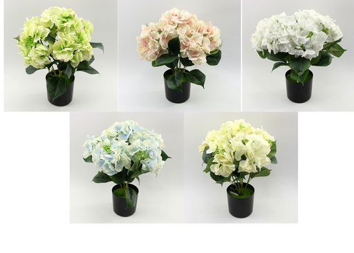 [FL6571] 5 Head 12cm Hydrangea Bouquet, Potted Flower,41cmH(6 pot/ctn)