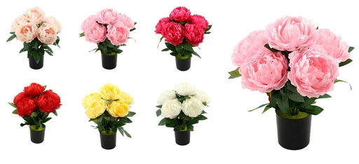 [FL6071] 5 Head 10cm Peony Bouquet, Potted Flower, 40cm H (12 pot/ctn)