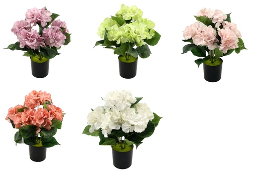 [FL6572] 5 Head 10cm Hydrangea Bouquet, Potted Flower, 35cm H (12 pot/ctn)