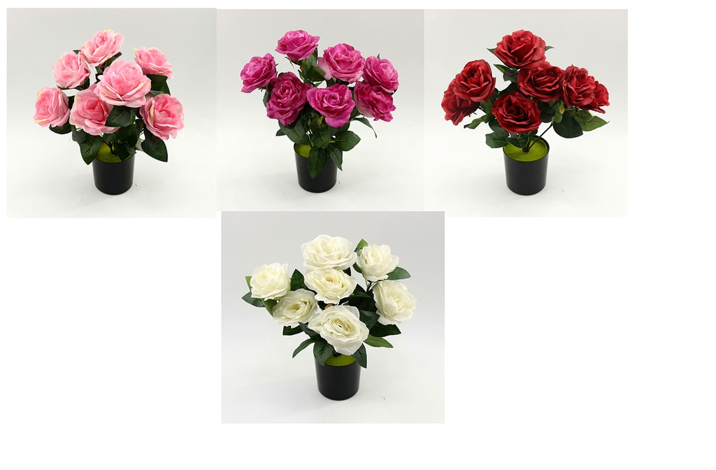 7 Head 10cm Rose Bouquet, Potted Flower,35cm H(12 pot/ctn)