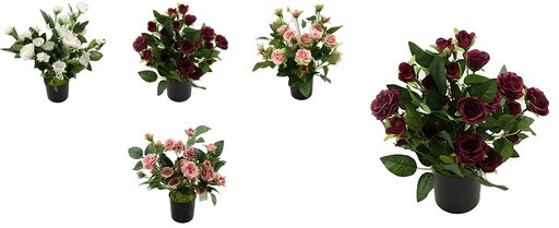 [FL6672] 24 Flower 10cm Rose Bouquet, Potted Flower,35cm H (12 pot/ctn)