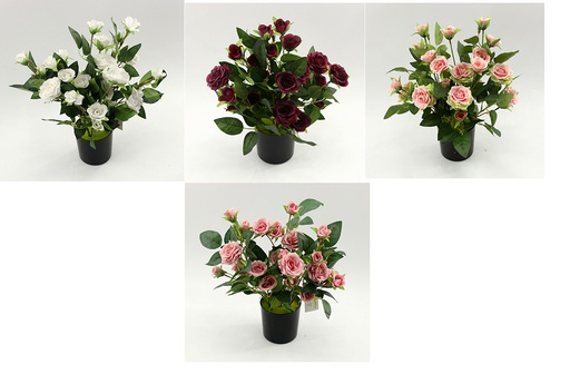 [FL6672] 24 Flower 10cm Rose Bouquet, Potted Flower,35cm H (12 pot/ctn)