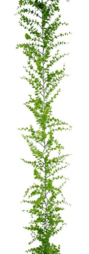 [FL8520] 180cm Eucalyptus Garland (24 pc/ctn)