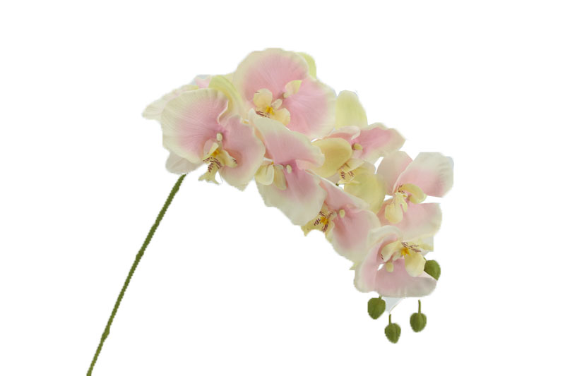 Orchid, 8 Flowers, 99cm Stem, light Pink (240 pc/ctn)