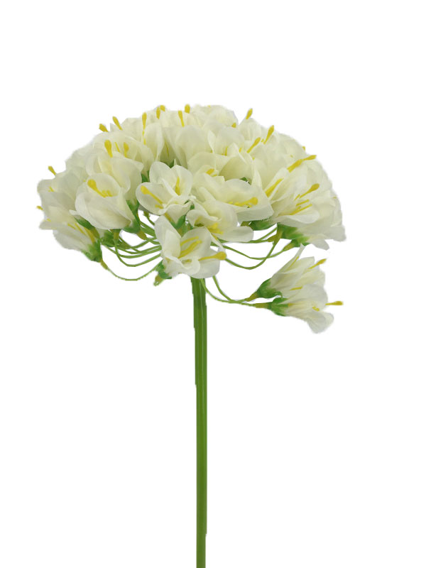 20&quot; White Agapanthus Flowers (240 pcs/ctn)