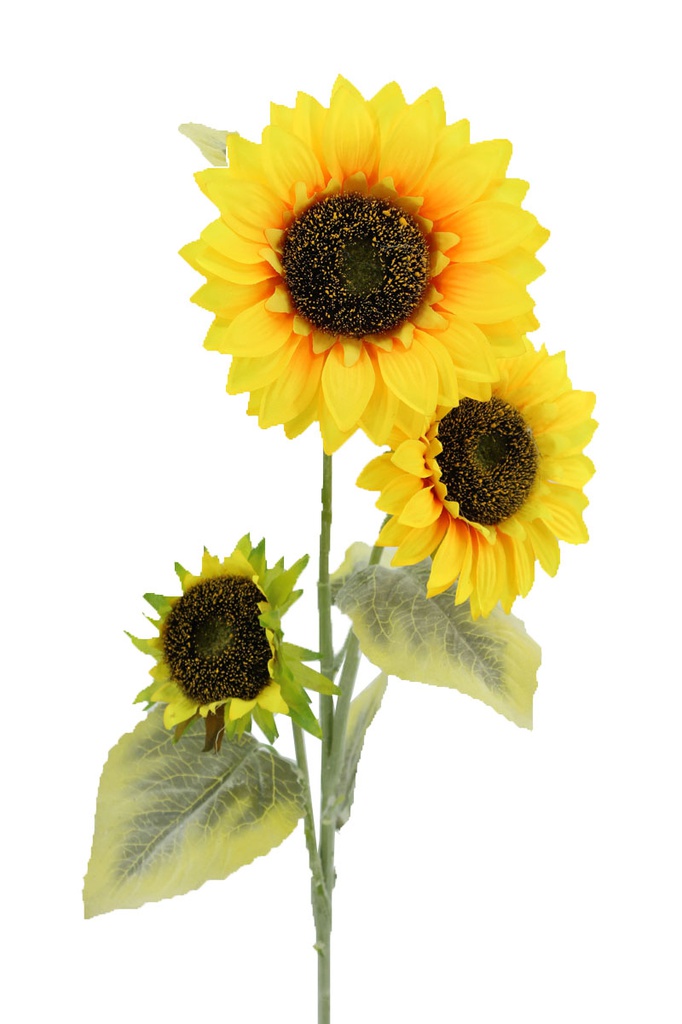 3 Heads Sunflower, w. 90cm long stem (24 pc/ctn)