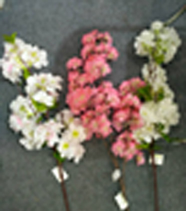 [FL6401] 105cm Cherry Blossom (240 pc/ctn)