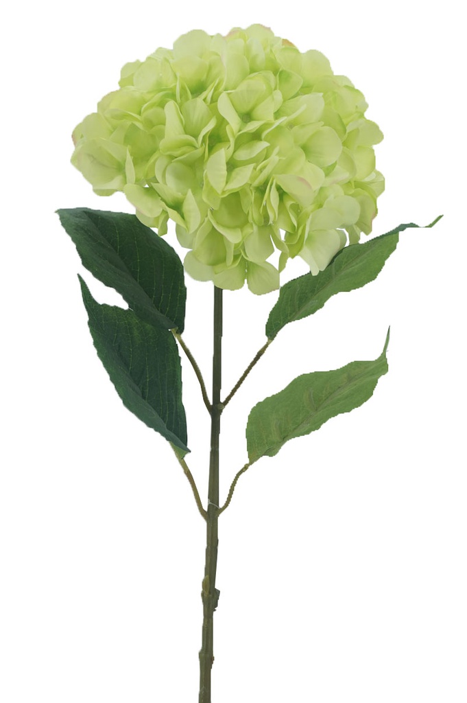 Hydrangea, 22cm, w. 68cm Stem, 4 Leaves, Green (240 pc/ctn)