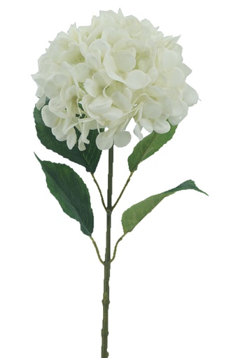[FL6501-WH] Hydrangea, 22cm, w. 68cm Stem, 4 Leaves, White (240 pc/ctn)