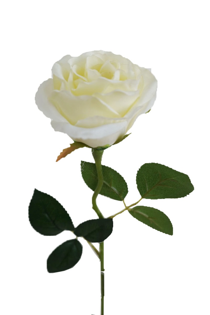 9cm Rose with 45 cm Stem, White (576 pc/ctn)