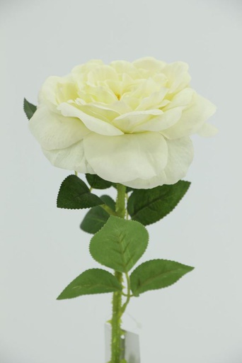 [FL6611-WH] Big Rose with 48cm Stem, White (240 pc/ctn)