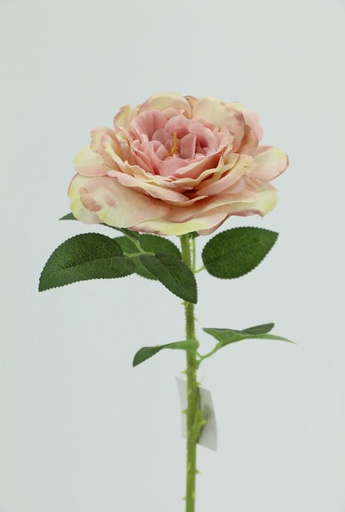 [FL6611-YL] Big Rose with 48cm Stem, Pink-Yellow (240 pc/ctn)