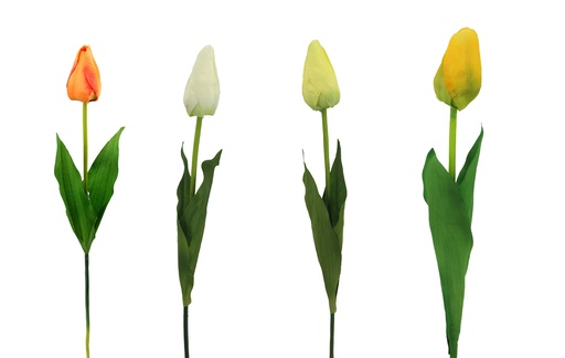 [FL6701] 58cm Tulip, dia 5cm (480 pc/ctn)