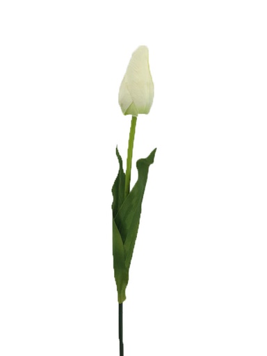[FL6701-WH] White Tulip Bulb with Stem (480 pcs/ctn)