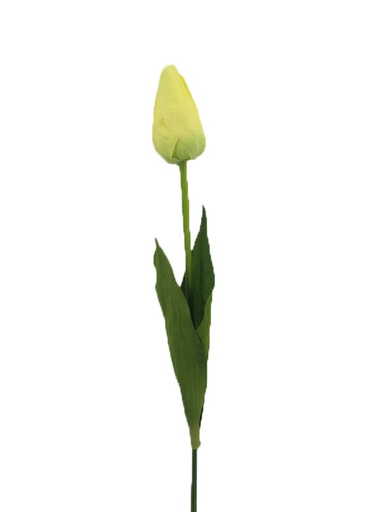 [FL6701-YL] Yellow Tulip Bulb with Stem (480 pcs/ctn)