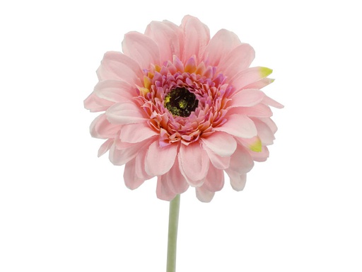 [FL6901-PK] Big Gerbera with 56cm stem, Pink (720 pc/ctn)