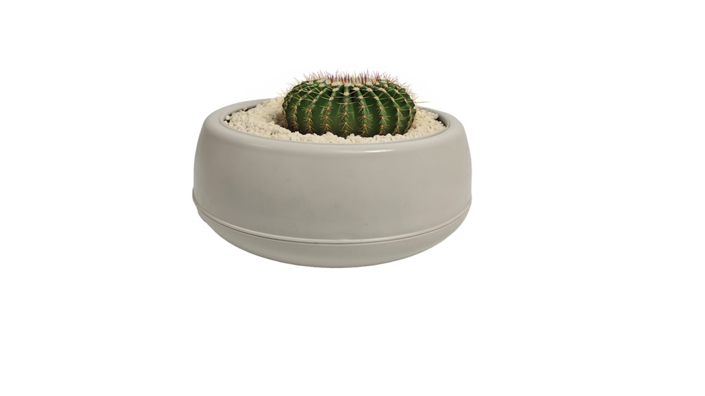 0.86LT Arrangement Flower Pot, Off White (30 pc/ctn)