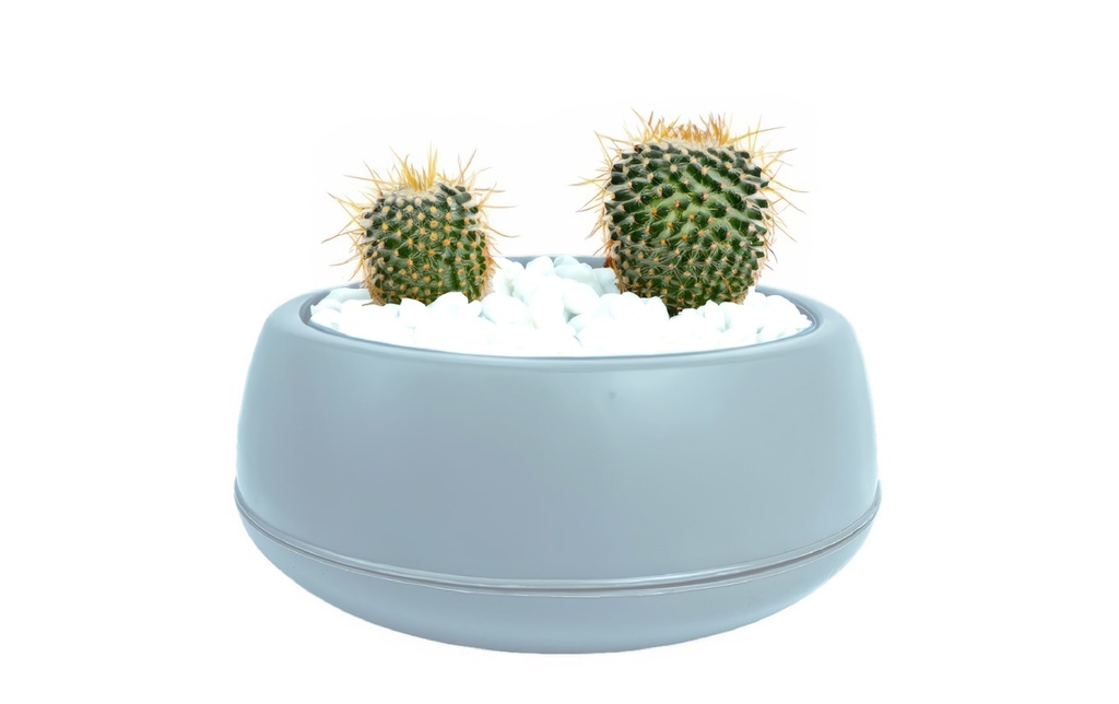2LT Arrangement Flower Pot, Sky Blue (20 pc/ctn)