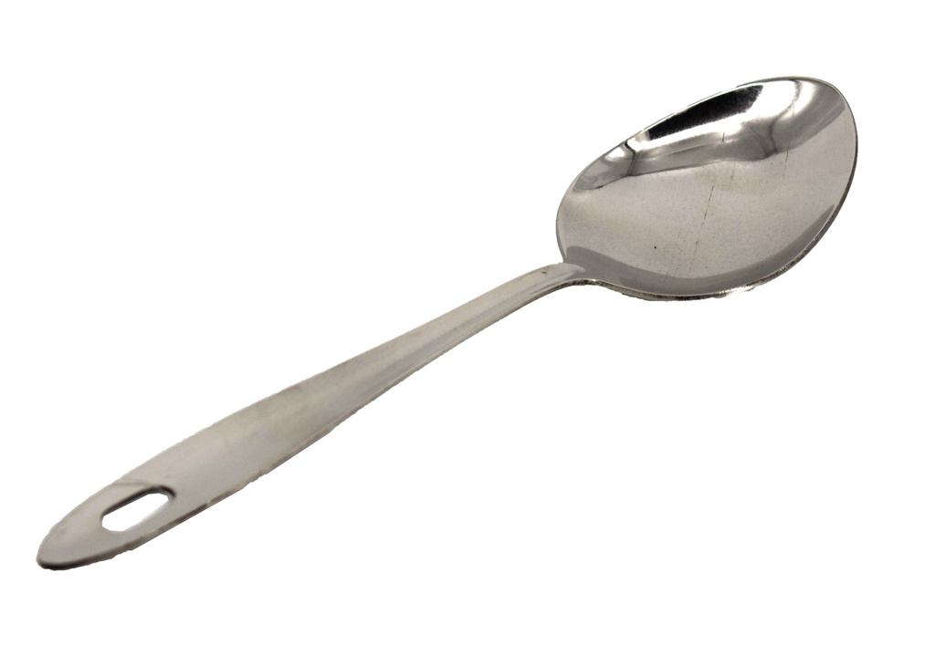 10" Small Stainless Steel Server Spoon (72 pcs/ctn)