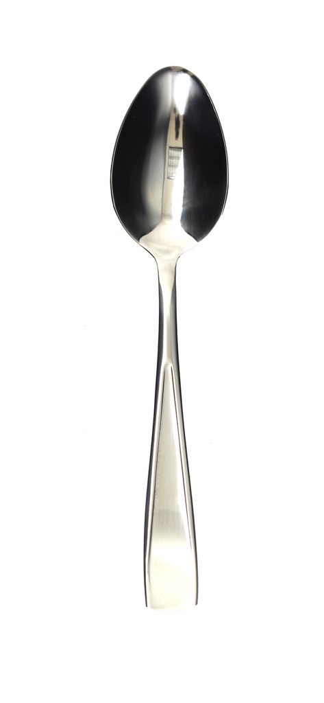Heavy Duty Stainless Steel Dinner Spoon (288 pcs/ctn)