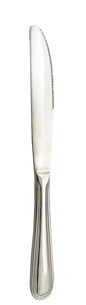 9.5" Heavy Duty Stainless Steel Dinner Knife 5mm Thick (240 pcs/ctn)