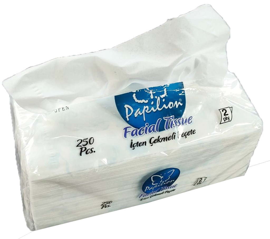 250 Sheets 2 Ply Facial Tissues (16 pcs/ctn)