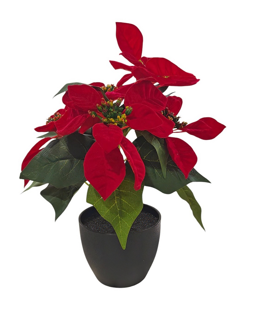 H17"(45cm) Artificial Red Velvet Christmas Poinsettia Plant in Nursery Pot