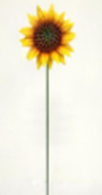 [HD10004] Metal Sunflower Garden Stake 10x8x57cm (12 pc/ctn)