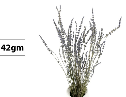[FL9203] Lavender Branch,42gm (48 pc/ctn)