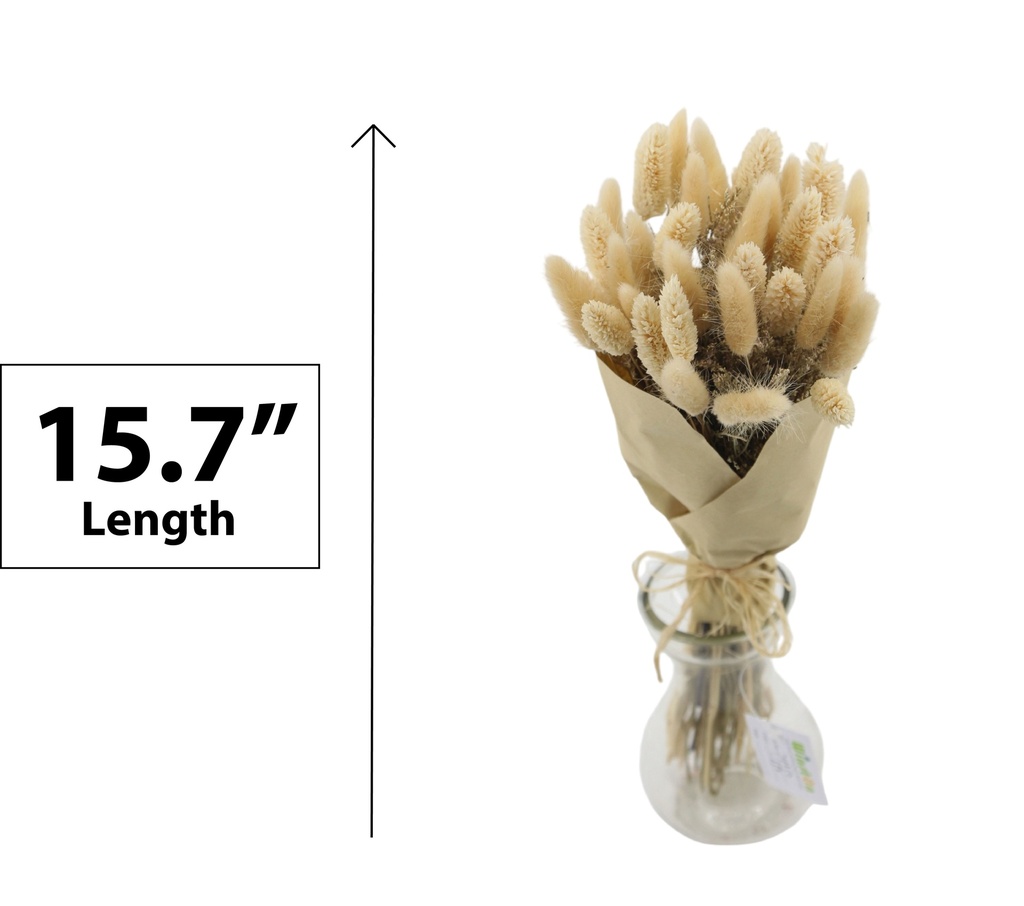 40cm Largurus Bouquet, Wrapped in paper (18 pc/ctn)