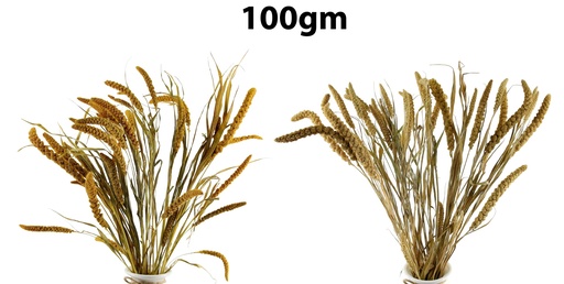 [FL9104] Setarea Natural Bundle, 100gm, Natural dyed color in dispay box (18 pc/ctn)