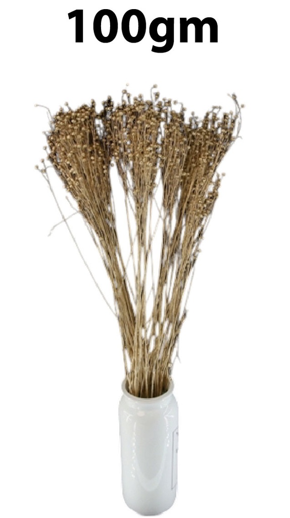 Lino Grass bundle, 100gm (30 pc/ctn)