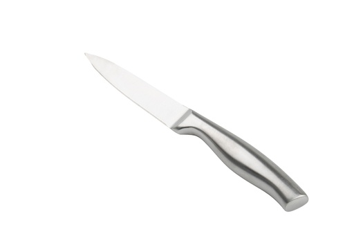 [203803] Stainless Steel Fruit Knife, 11.3"(28.8x4.1cm) (72 pc/ctn)