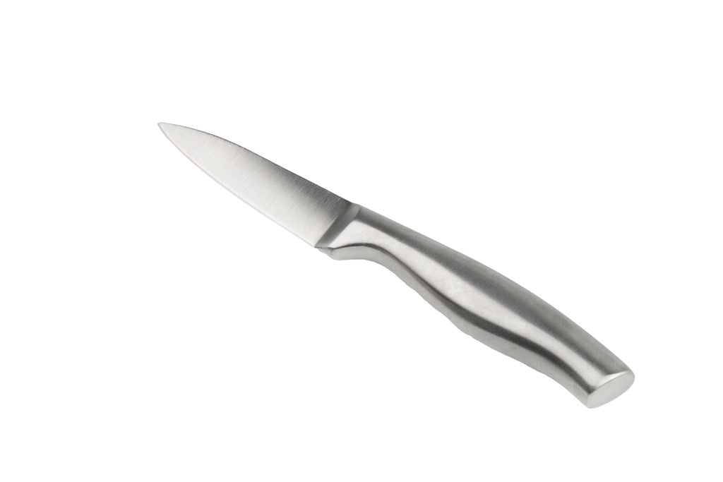 Stainless Steel Fruit Knife, 9.2"(23.4x2.3cm) (72 pc/ctn)