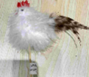 Feather Chicken on a Stick, 12x8cm (288 pcs/ctn)