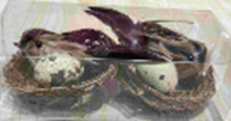 Quail Eggs and Birds in a Nest, 7cm (192 pcs/ctn)