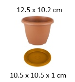 0.6LT Villa Flower Pot with Tray, 125X102mm (120 pc/ctn)